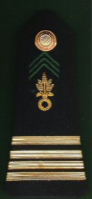 11 Commandant  Regiment Etrangere d’Infanterie Pre 1090