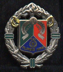 244 1er Regiment Etrangere de Cavalerie 2