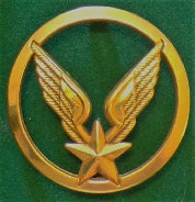 09 Insigne de béret Aviation Legère de l'Armée de Terre Or