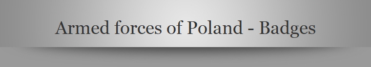 Armed forces of Poland - Badges