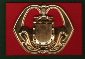 01 Netherlands Infantry Beret Badge
