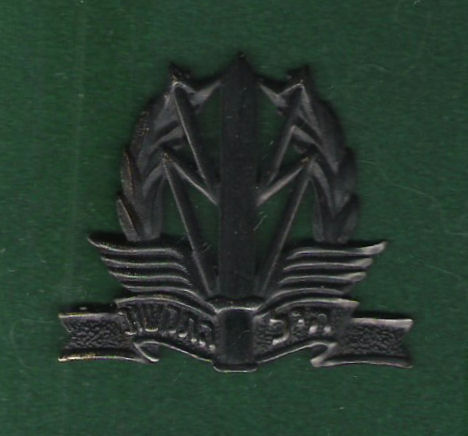 03 Israel Sgnals Beret Badge