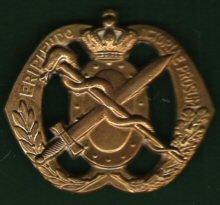 05 Netherlands Medical Corps Beret Badge
