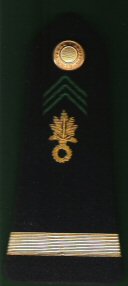 08 Sous-Lieutenant  Regiment Etrangere d’Infanterie Pre 1090