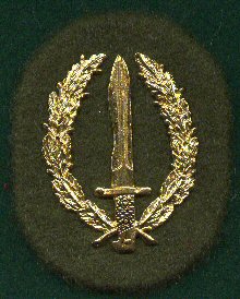 09 Special Operations Group Beret Badge