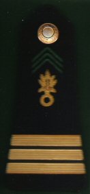 10 Capitaine  Regiment Etrangere d’Infanterie Pre 1090
