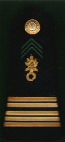 12 Colonel Regiment Etrangere d’Infanterie Pre 1090