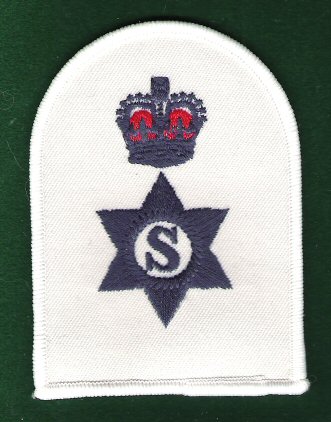 34 No 6 Dress Steward (Chief Petty Officer)