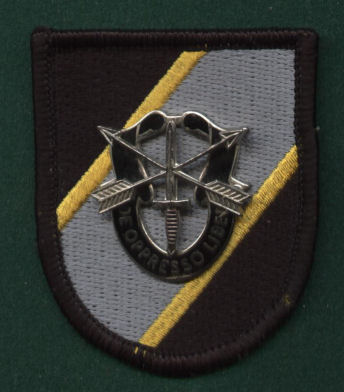 Joint Special Operations Cmd Beret Flash & DI